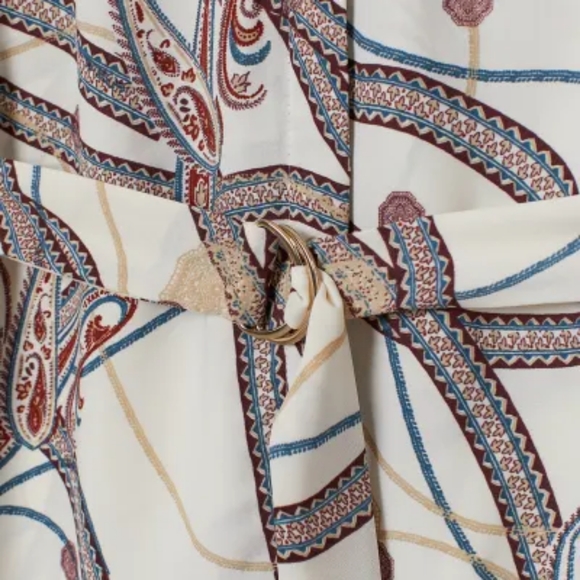 Paisley Maroon Shirt Dress H&M - Picture 3 of 8